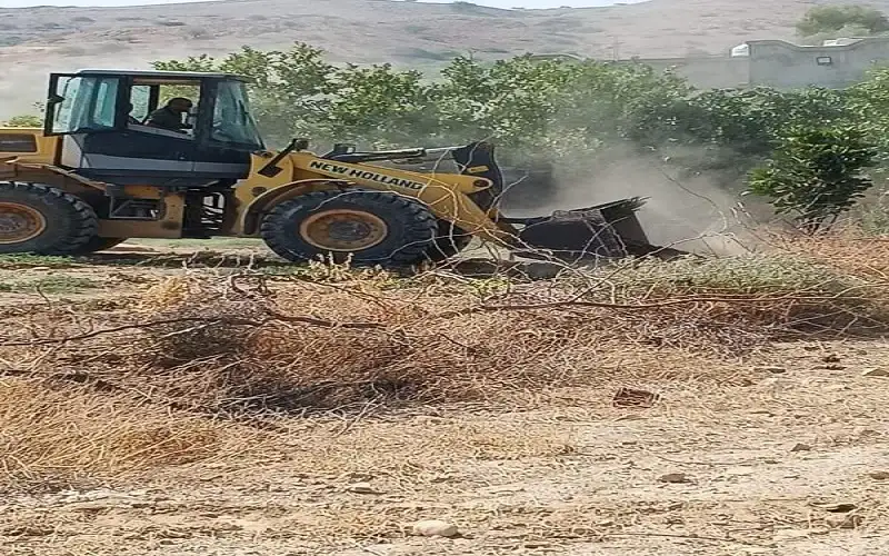 إزالة اعتداءات زراعات مخالفة بمنطقة العارضة