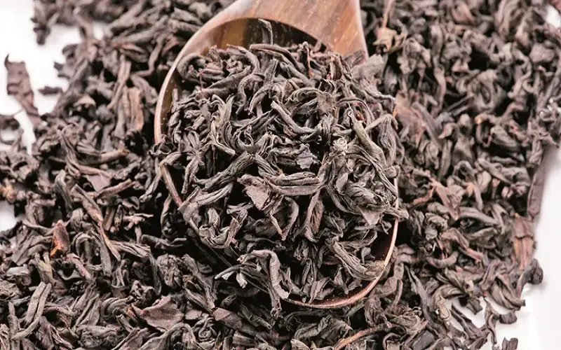 الشاي الصيني .. أسطورة تاريخية تغزو