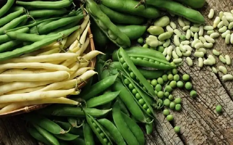 لعظام قوية.. تناول البازلاء والفول وقلل