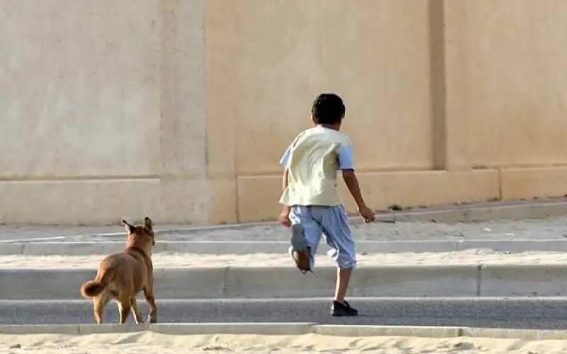 إصابة طفل بجرح قطعي وخدوش إثر