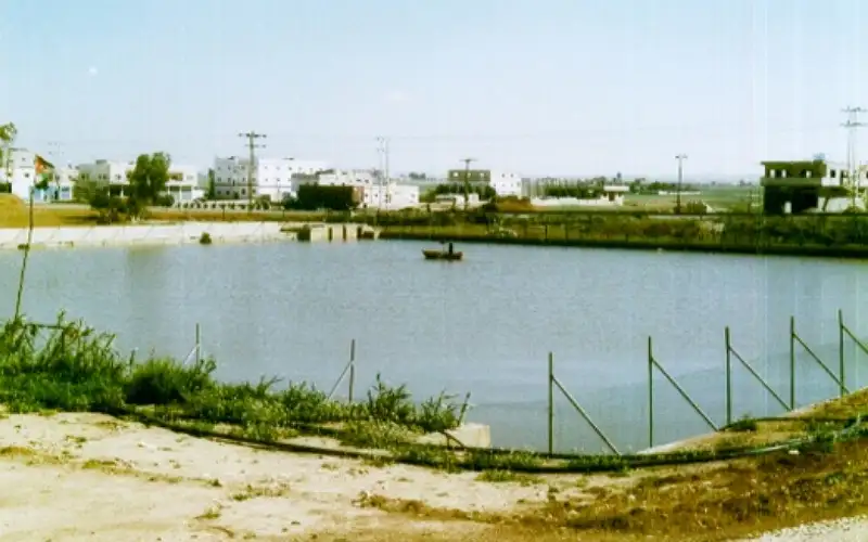 وفاة (4) اشخاص من جنسية عربية