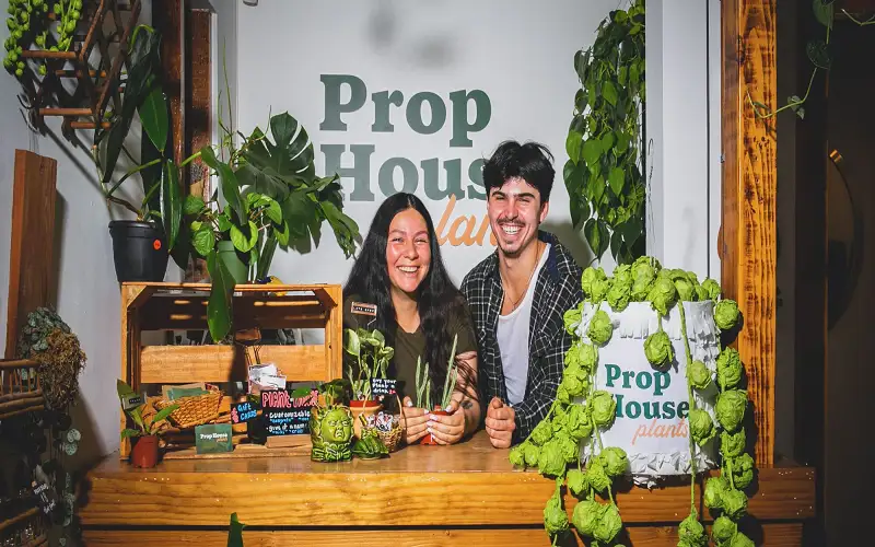 شقيقان أمريكيان يستغلان ولعهما في بيع