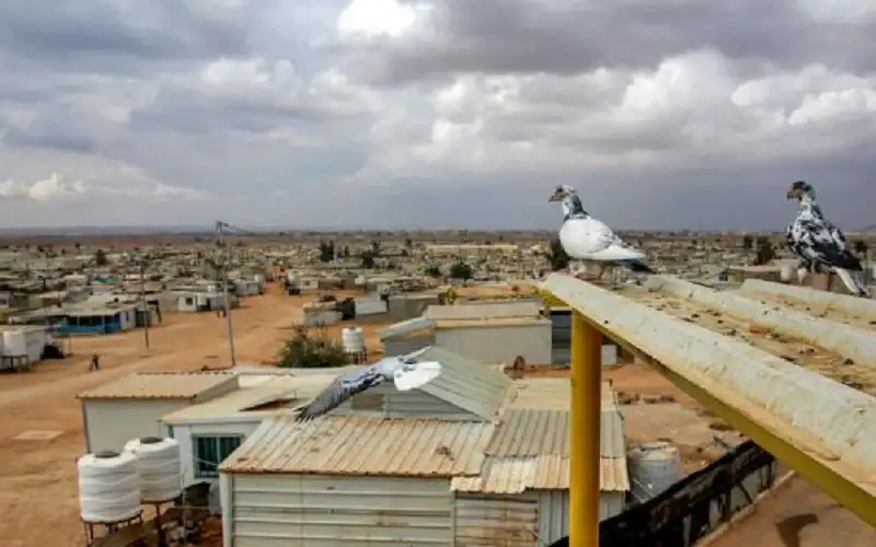 بعد وفاة 4 أشخاص .. المياه: