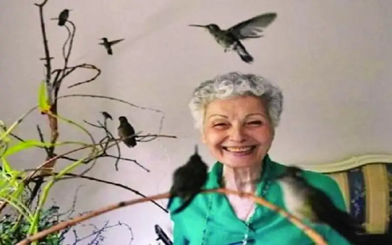 مكسيكية تحول شقتها إلى مستشفى للطيور