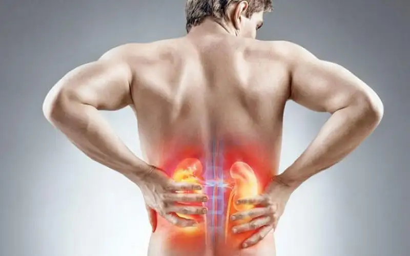 ما علاقة أمراض الكلى بمشاكل ضغط