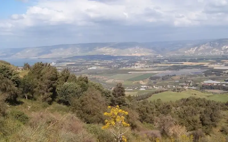 قرار بتشكيل لجنة لإدارة بلدية غور