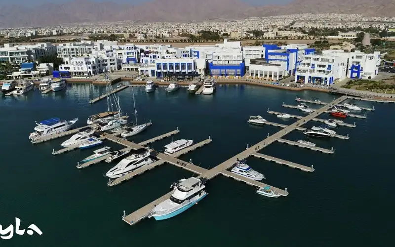 أيلة تطلق حملتها السنوية العودة إلى