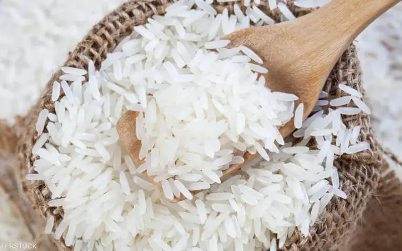 الهند تضيق الخناق على صادرات الأرز