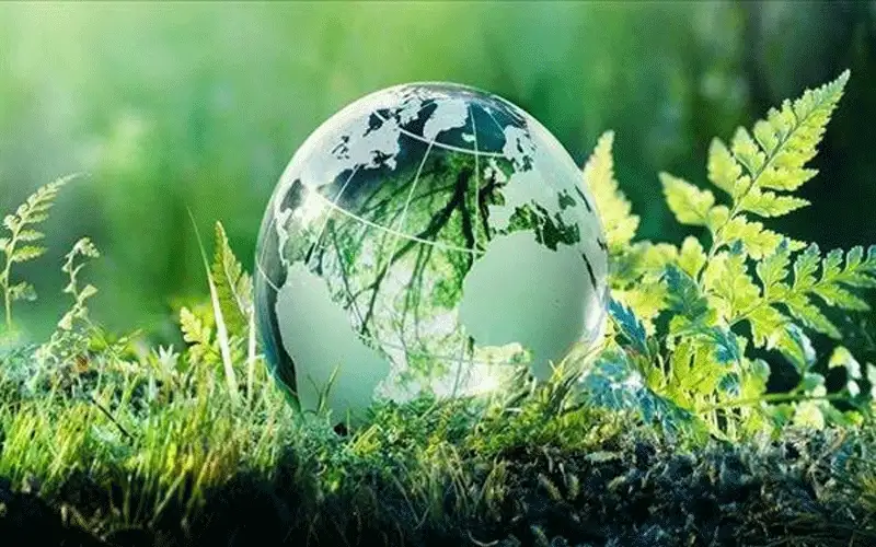 إصدار تقرير حالة البيئة.. لماذا تأخر؟