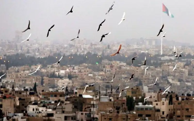 أجواء صيفية معتدلة الحرارة في أغلب