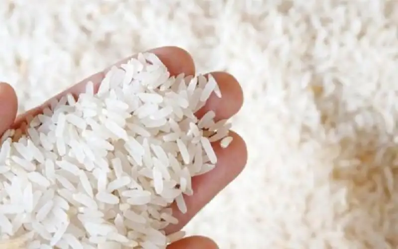 ضبط 5500 طن أرز غير صالح