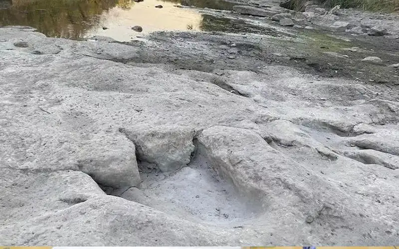 اكتشاف أطول مسار للديناصورات في العالم