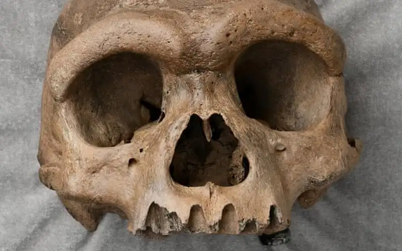 العثور على جمجمة إنسان في الشارع