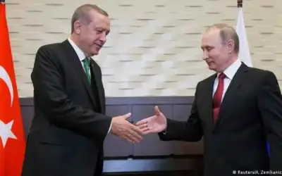 بوتين وأردوغان يبحثان صفقة الحبوب والوضع