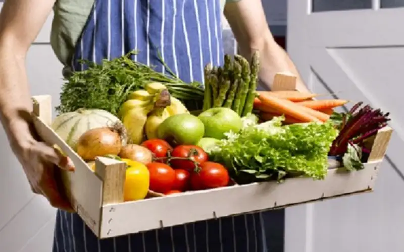 نصائح طبيب لاستعادة صحة المعدة