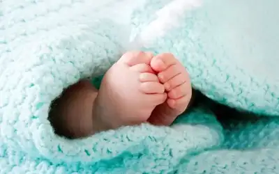 النبراوي يهنئ المناعسة بـمولوده السلطان