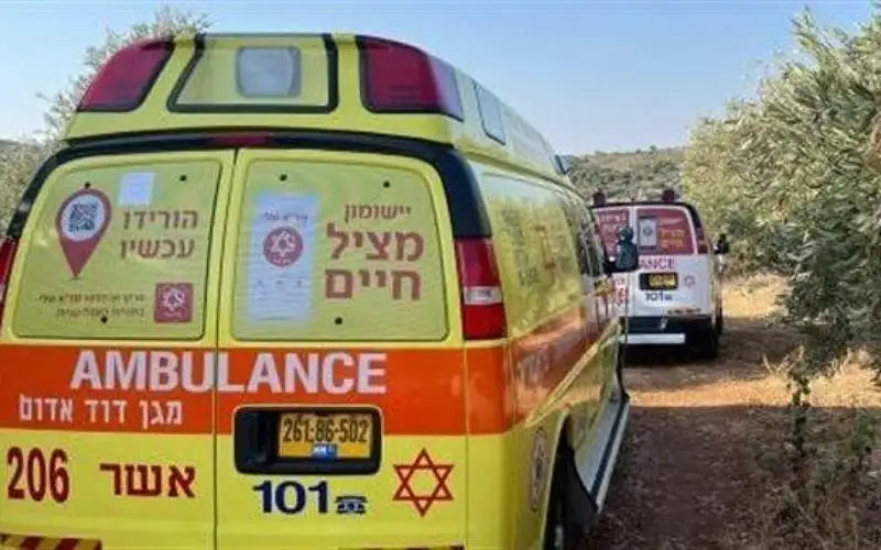 مقتل شقيقين فلسطينيين بإطلاق نار بالجليل