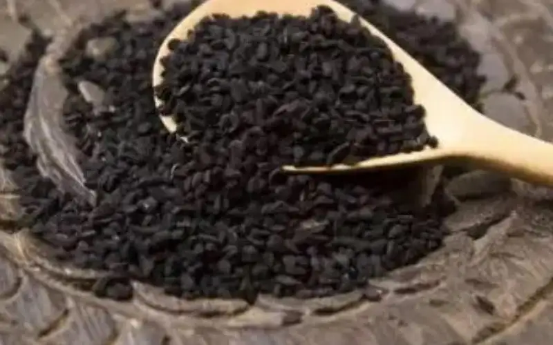 فوائد تناول الحبة السوداء على معدة