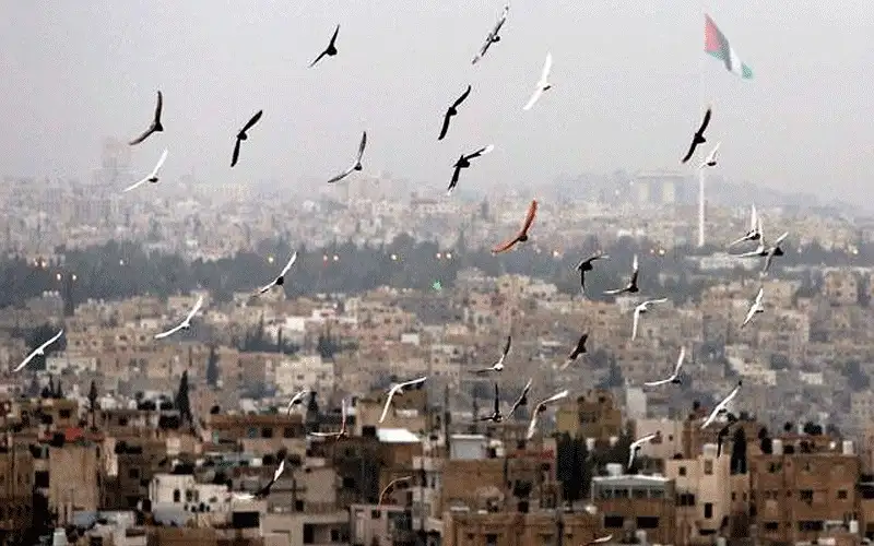 أجواء حارة نسبيا