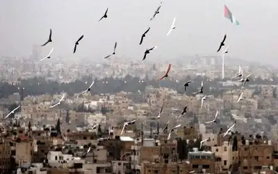 أجواء حارة نسبيا