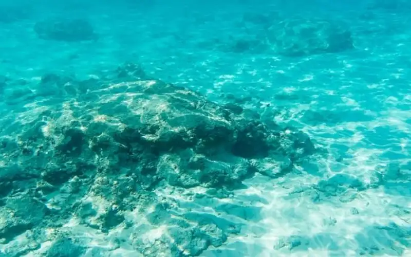 اكتشاف بيضة ذهبية غامضة في قاع