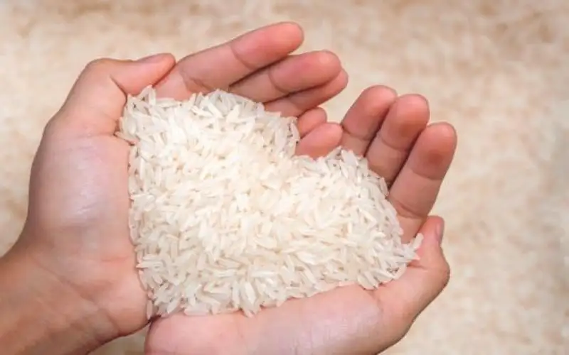 فاو: سعر الأرز في أعلى مستوياته