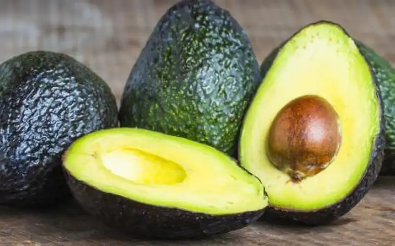 الأفوكادو.. ثمرة شهية بفوائد مدهشة