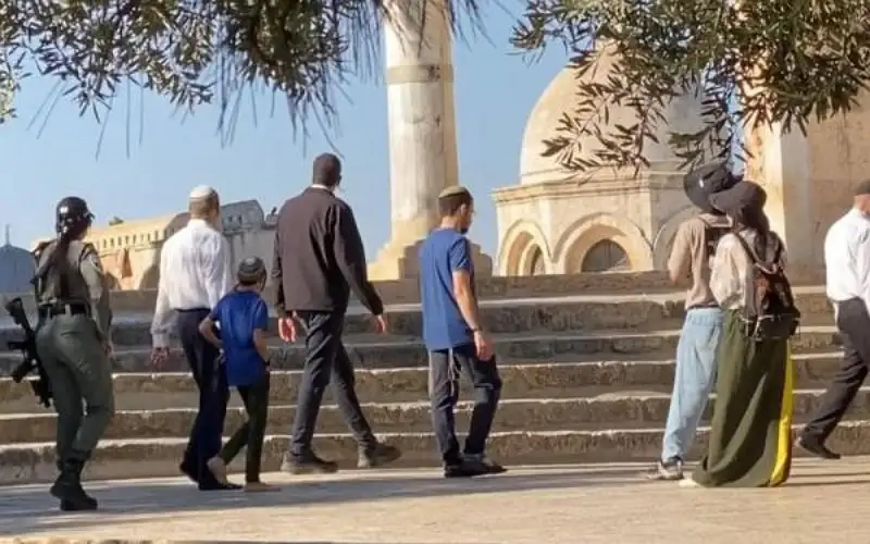 مستوطنون يقتحمون الأقصى ويؤدون طقوسا تلمودية