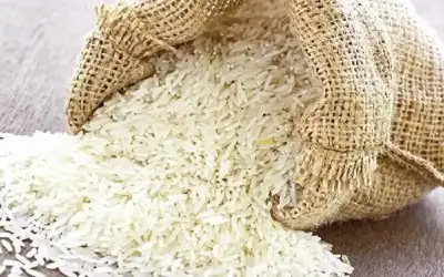توضيح حول ضبط أرز غير الصالح