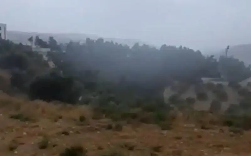 بدء تساقط الأمطار في الشمال