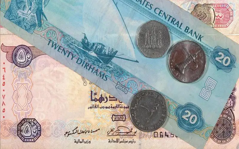 حجم الثروات المالية الخاصة بالإمارات