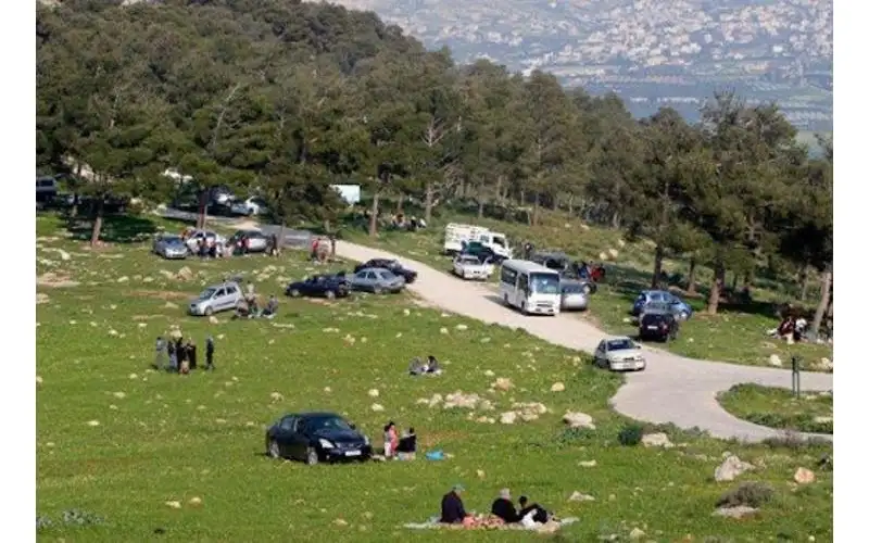 أجواء مناسبة للرحلات نهاية الأسبوع