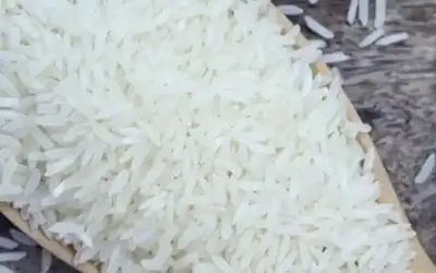 حماية المستهلك: الأرز الأسواق الأردنية سليم