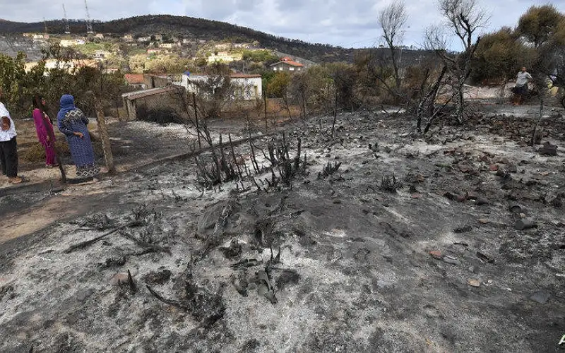الجزائر.. إخماد 20 حريقا ببجاية وإجلاء