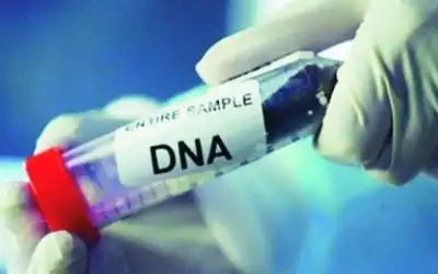 فريق طبي يجمع عينات DNA من