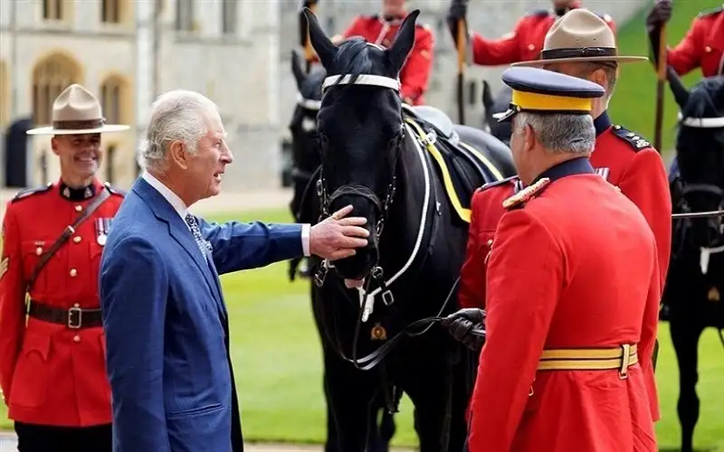 القبض على شاب تسلق إسطبلات ملك