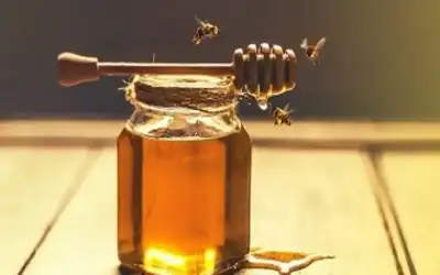 6 أسباب تجعل العسل أفضل غذاء