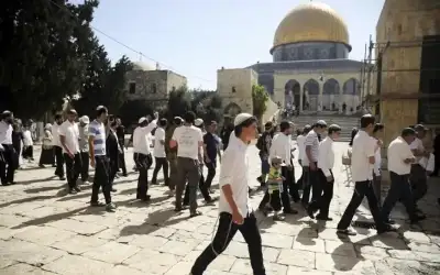 إدانة عربية لاقتحام المستوطنين المسجد الأقصى
