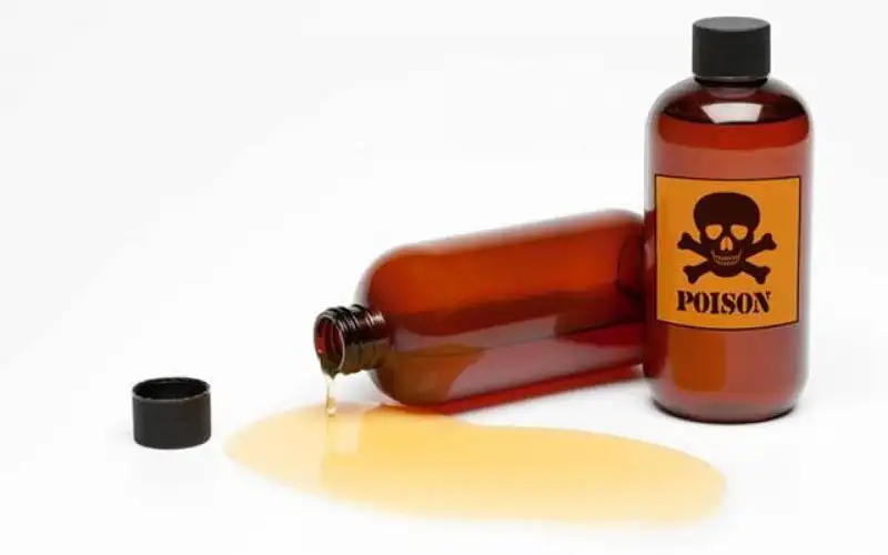 سيدة لبنانية تقتل زوجها بالسم ثم