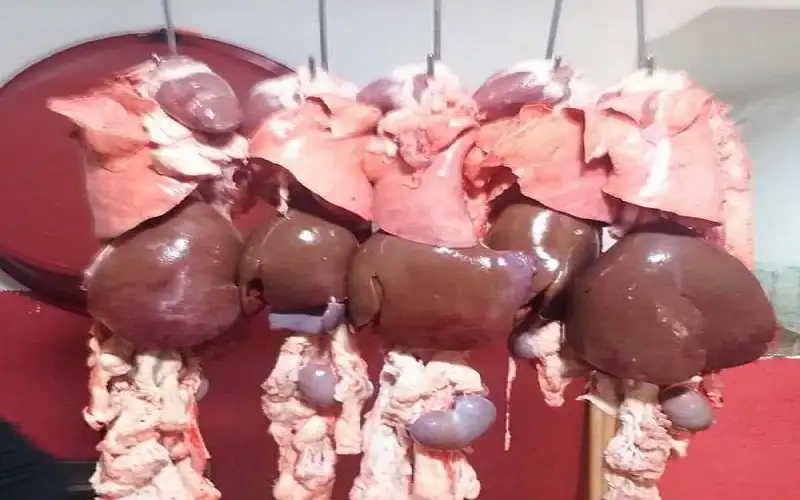 ضبط 227 كغم معاليق غير صالحة