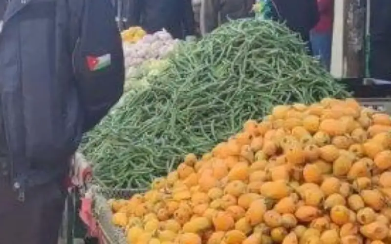 ضبط مطلوبين خلال إزالة الاعتداءات على