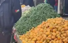 صحيفة نيسان ـ ضبط مطلوبين خلال إزالة الاعتداءات على