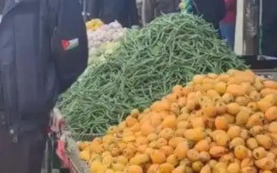 ضبط مطلوبين خلال إزالة الاعتداءات على