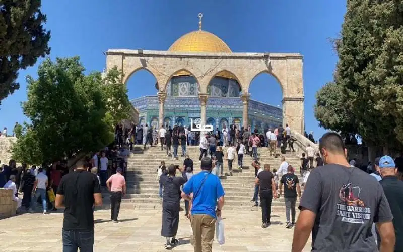 رغم عراقيل الاحتلال.. نحو (50) ألف