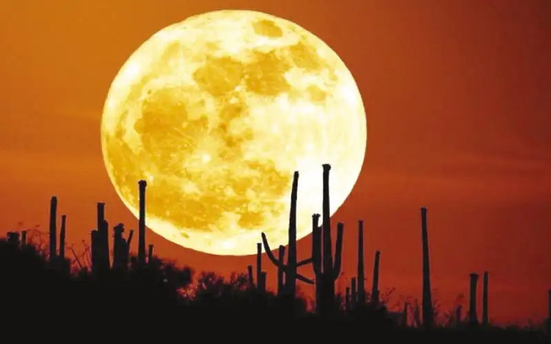 قمر الحصادين العملاق يضيء السماء في