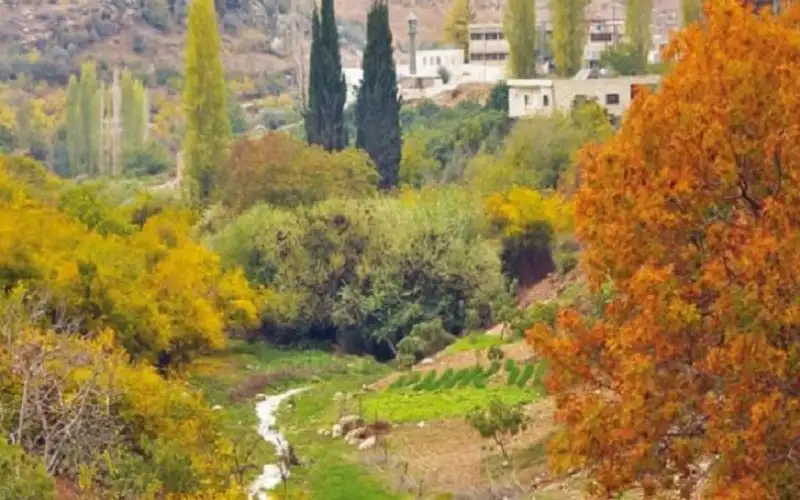 أجواء خريفية معتدلة وانخفاض على درجات