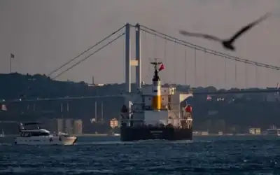 وصول سفينة قمح أوكراني إلى اسطنبول