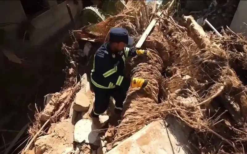 الصحة العالمية: لا أوبئة بليبيا