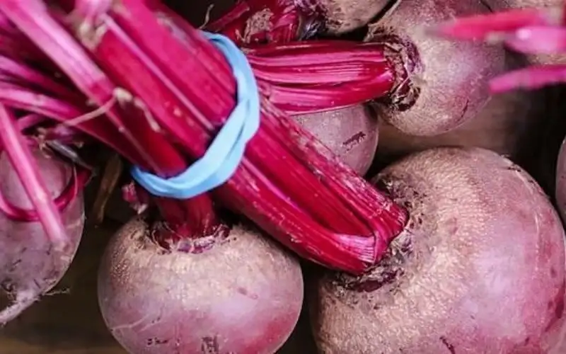 لم تسمعوا بها من قبل.. أضرار