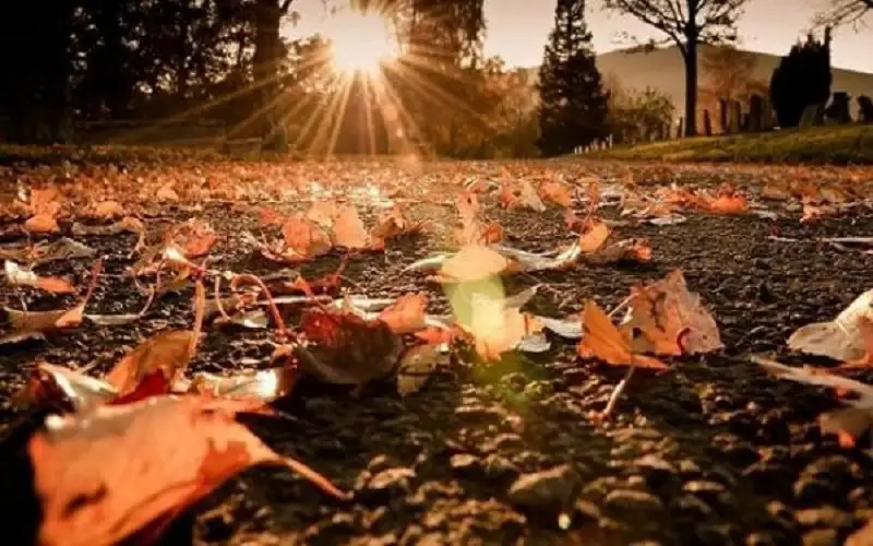 أجواء خريفية معتدلة في معظم المناطق